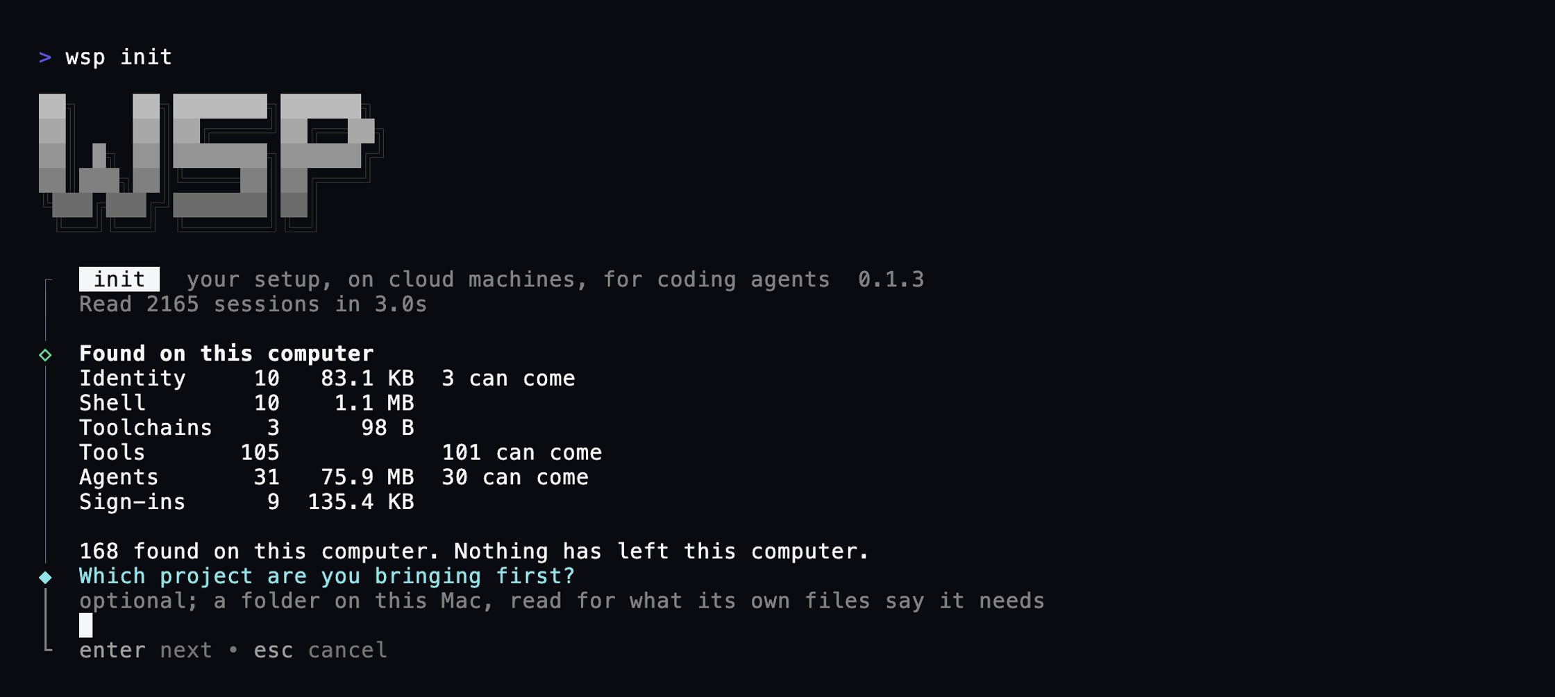 wsp init after the scan: the card of what it found on this computer, then the optional project question